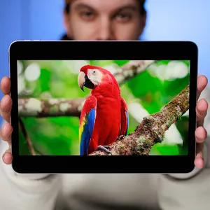Apple iPad Air 2026 M4 Wi-Fi 11 inch, 128GB and 12GB Ram Tablet, 12MP Main Camera, Stylus and Keyboard Support - بندانگشتی 32