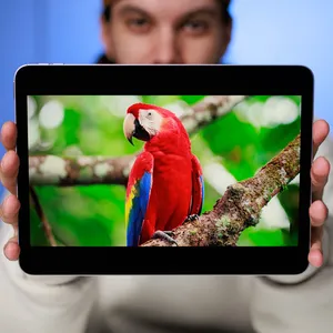 Apple iPad Air 2026 M4 Wi-Fi 11 inch, 512GB and 12GB Ram Tablet, 12MP Main Camera, Stylus and Keyboard Support - بندانگشتی 33