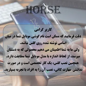 Horse ANTH20 Privacy Screen Protector Suitable For Samsung Galaxy S25 FE - بندانگشتی 13