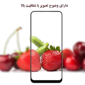 محافظ صفحه نمایش لیتو مدل Air Bag مناسب برای گوشی موبایل اپل IPHONE 13 Pro Max - بندانگشتی 16