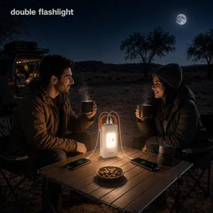 پاوربانک 22.5 وات آی تی لینک مدل Dual Light ظرفیت 30000 میلی‌آمپرساعت - بندانگشتی 6