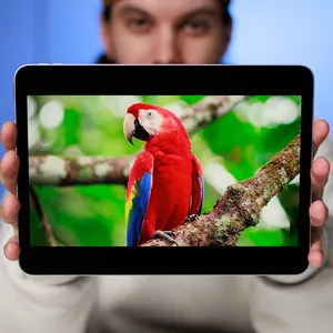 Apple ipad Air 13 2025 M3 WiFi 128G 8G RAM Tablet - angle 45