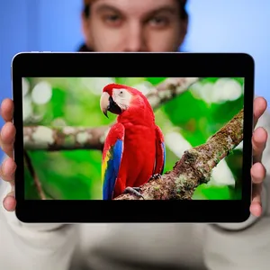 Apple ipad Air 13 2025 M3 -WiFi 256G 8G RAM Tablet - angle 56