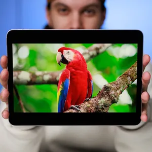 Apple iPad Air 2026 M4 Wi-Fi 11 inch, 512GB and 12GB Ram Tablet, 12MP Main Camera, Stylus and Keyboard Support - angle 62